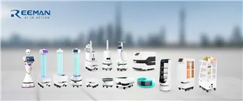 Humanoide robotter: Har du brug for 20 år før du bliver voksen?