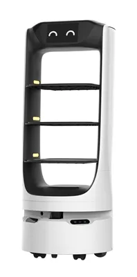 REEMAN Delivery Robots Omfattende applikationer i Gloab-lande